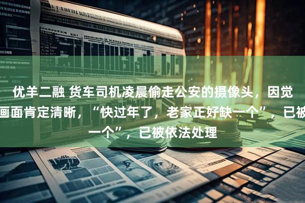 优羊二融 货车司机凌晨偷走公安的摄像头，因觉得拍出的画面肯定清晰，“快过年了，老家正好缺一个”，已被依法处理